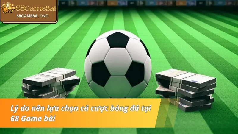 Nguyên nhân nên chọn cược bóng đá